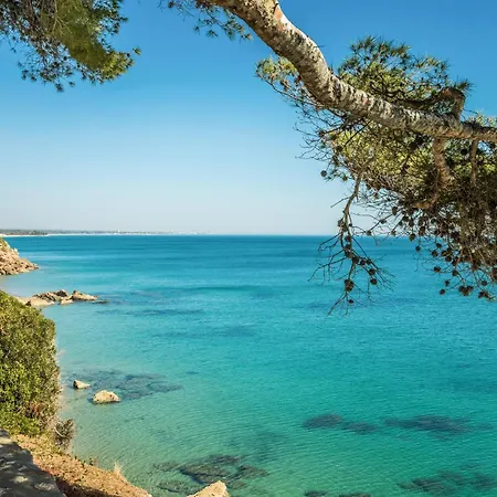 3 Bedroom Pet Friendly In Miami Platja * Miami Playa
